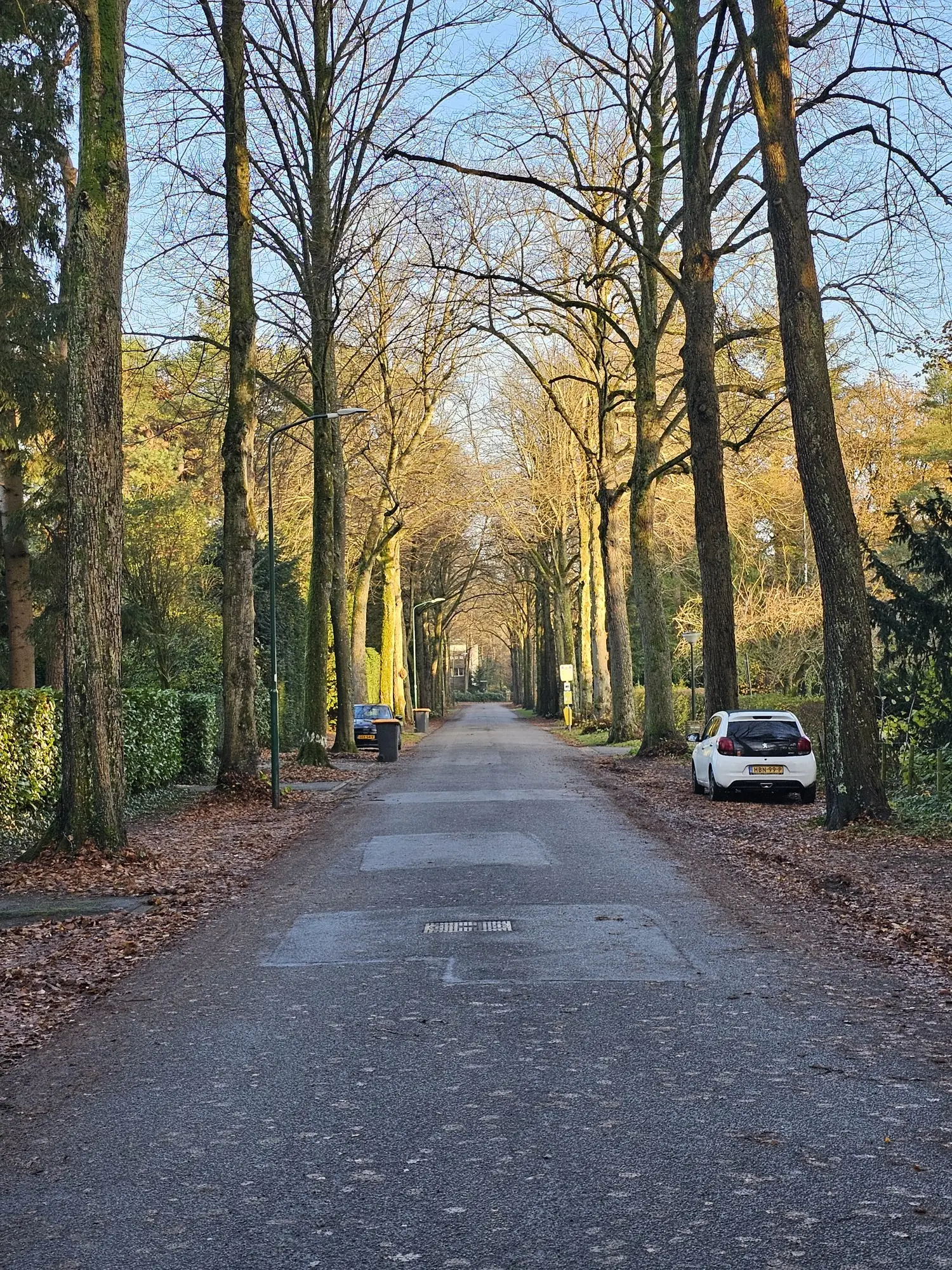 Bilthoven 1
